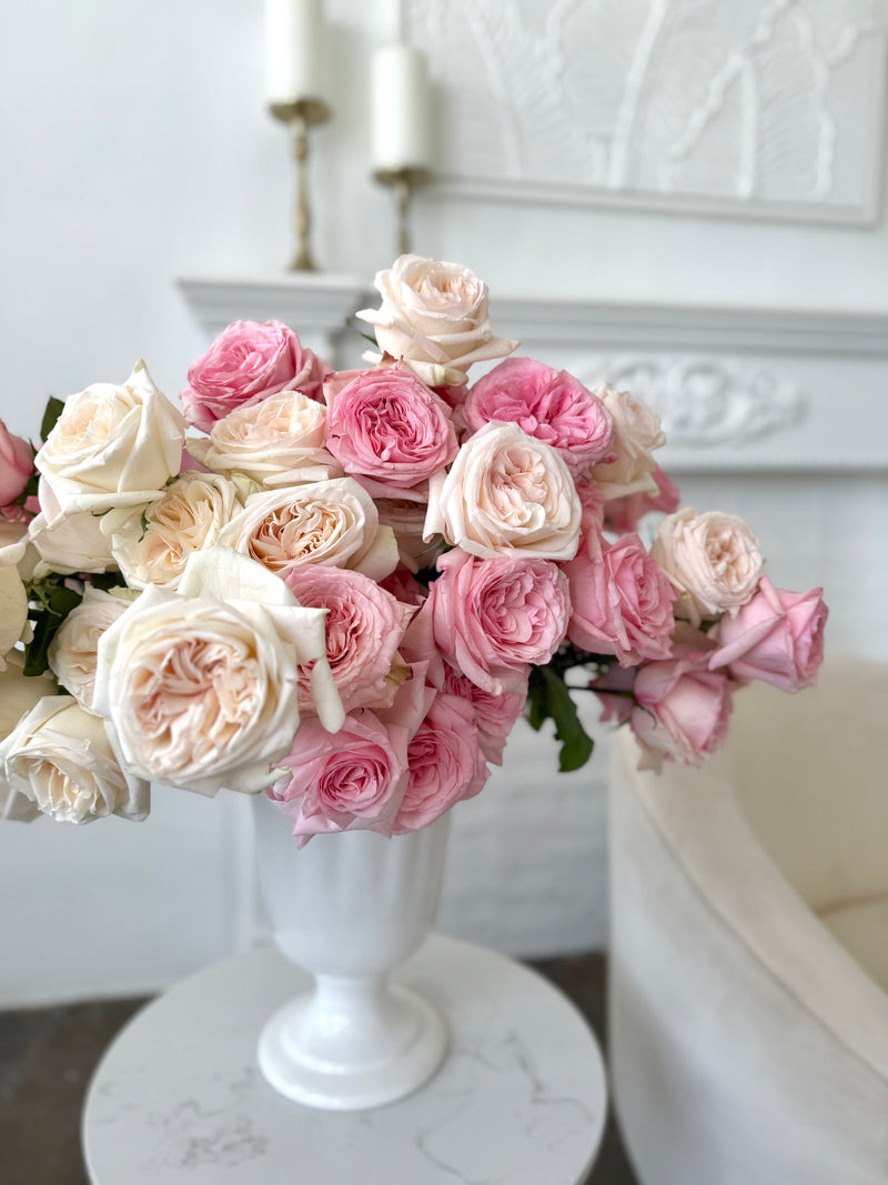 Sunbelt® Savannah™ Rose Bush – Grace Rose Farm