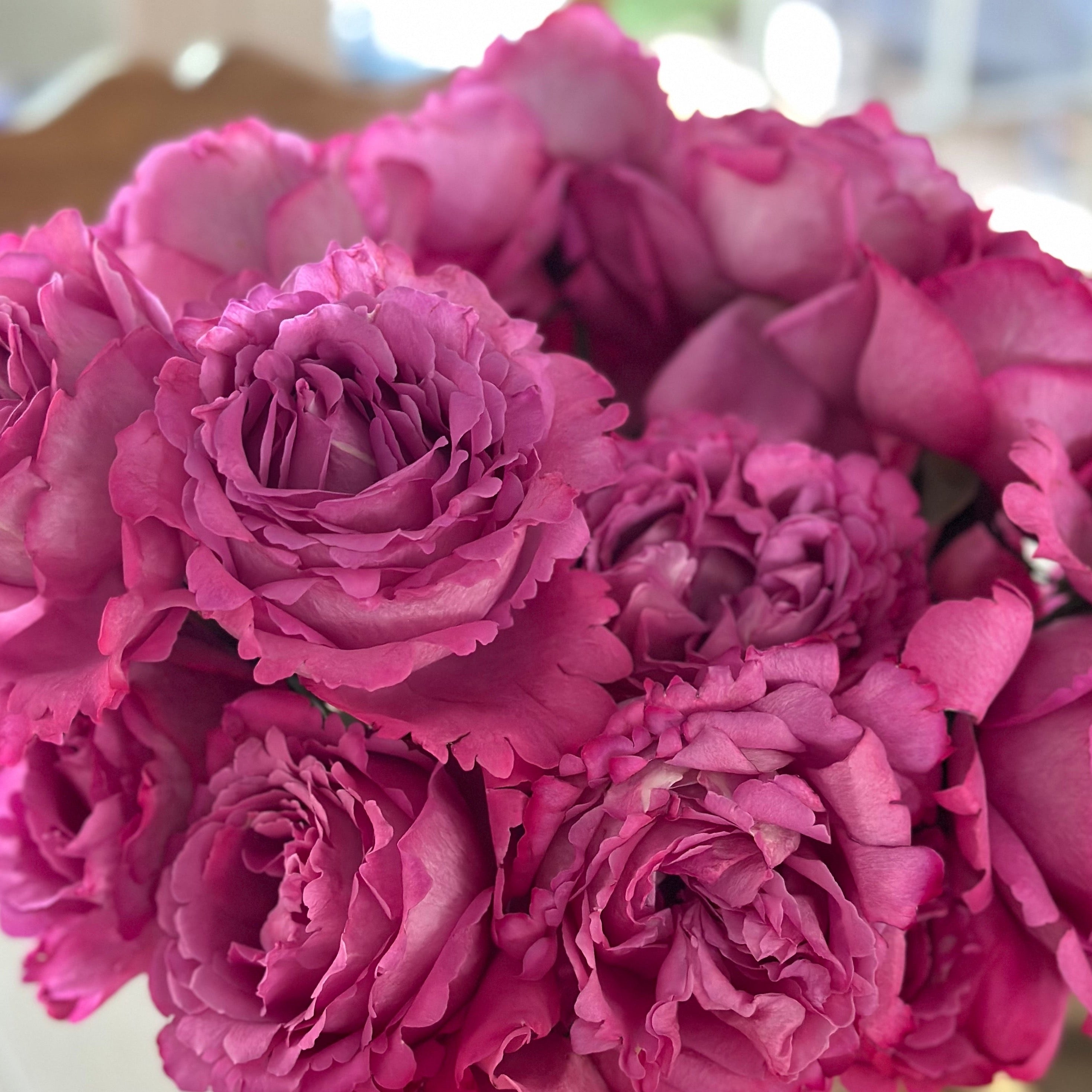 Yves Piaget® Potted Tree Rose