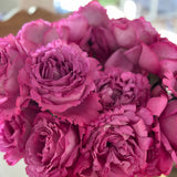 Yves Piaget® Potted Tree Rose