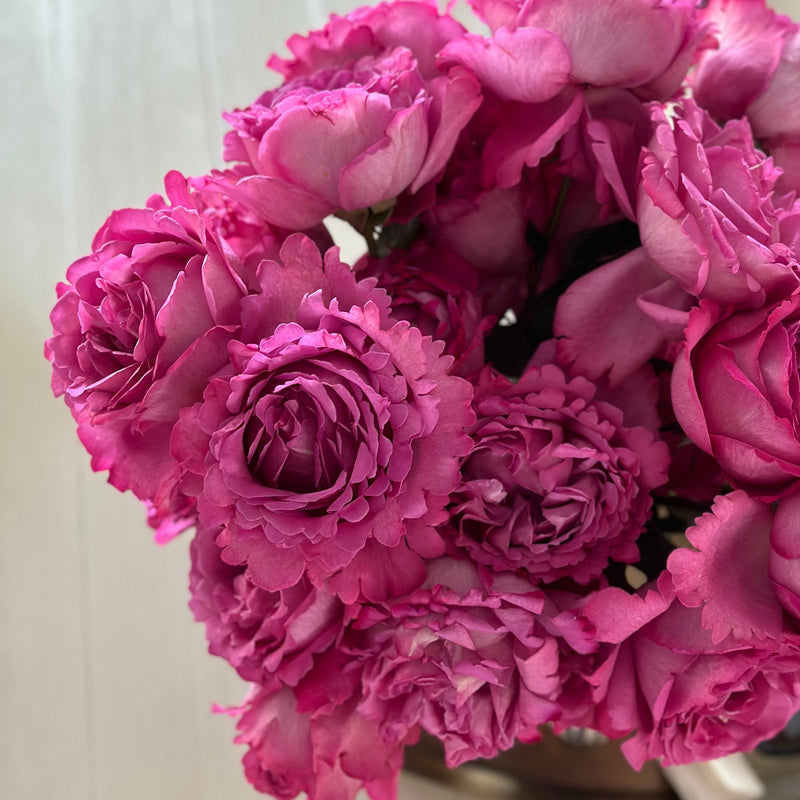 Yves Piaget® Potted Tree Rose