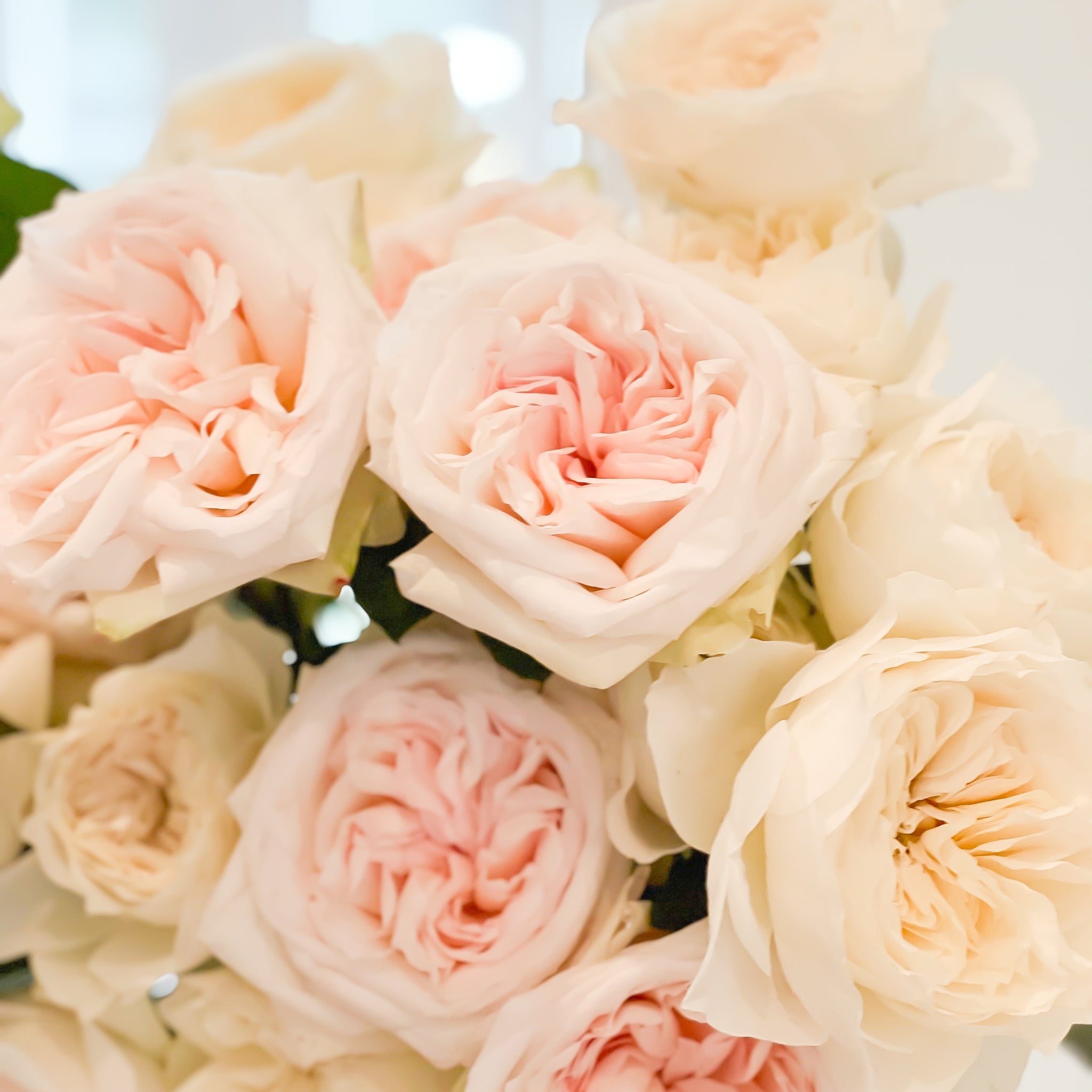 Cristina Bouquet | Blush Garden Rose Bouquet | Grace Rose Farm