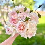Bouquet of pink and white roses held by a person with a blurred green background