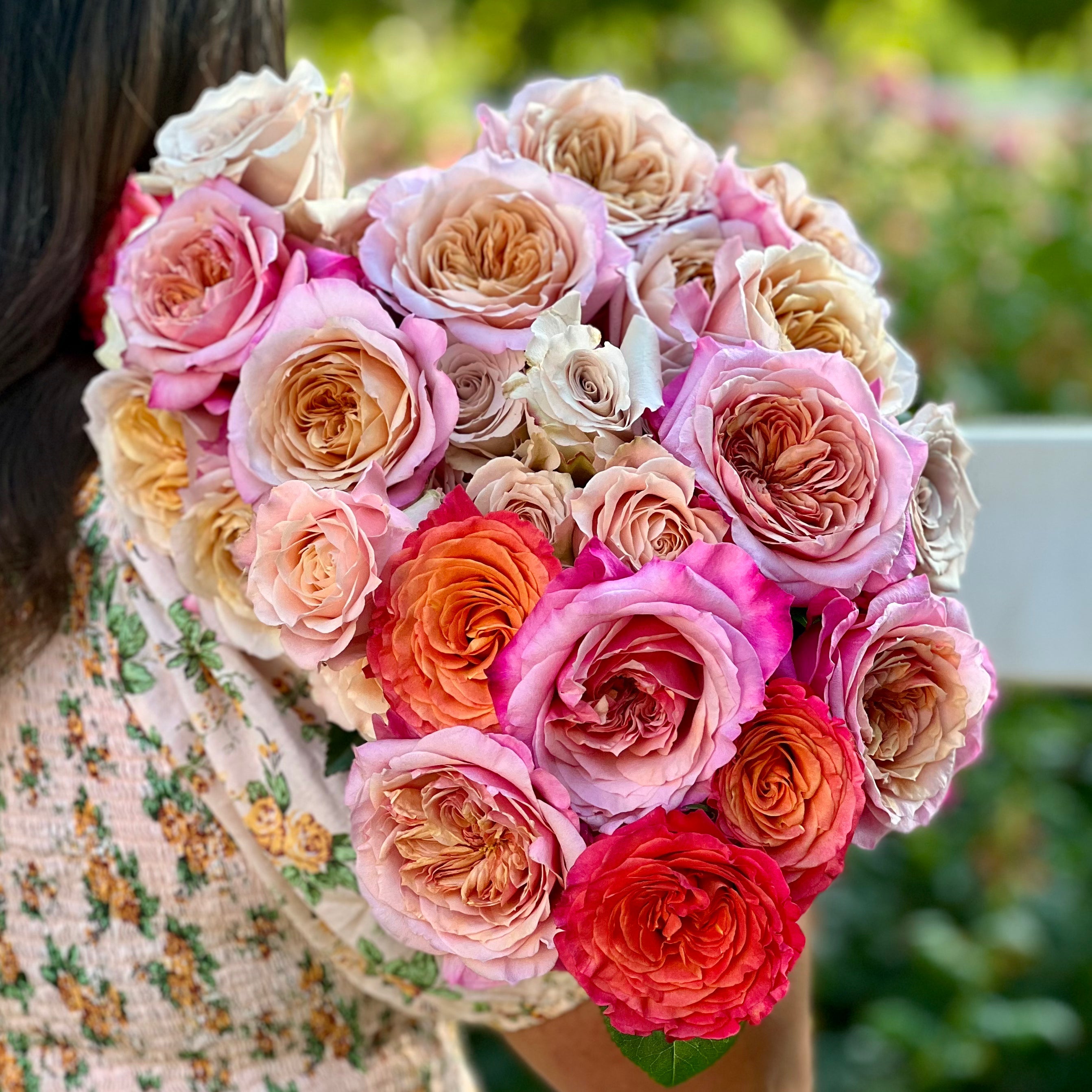 Grace Rose Farm Roses | Bushes and Romantic Bouquets | Grace Rose Farm