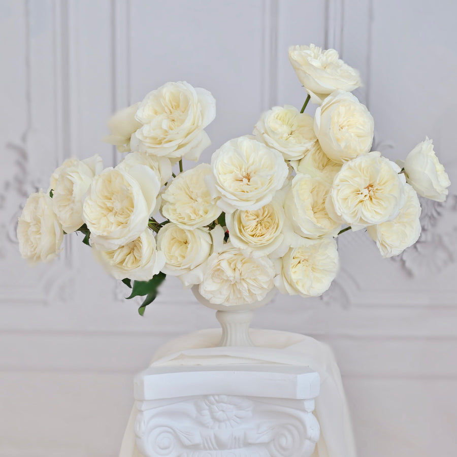 David Austin® Leonora™ Bouquet
