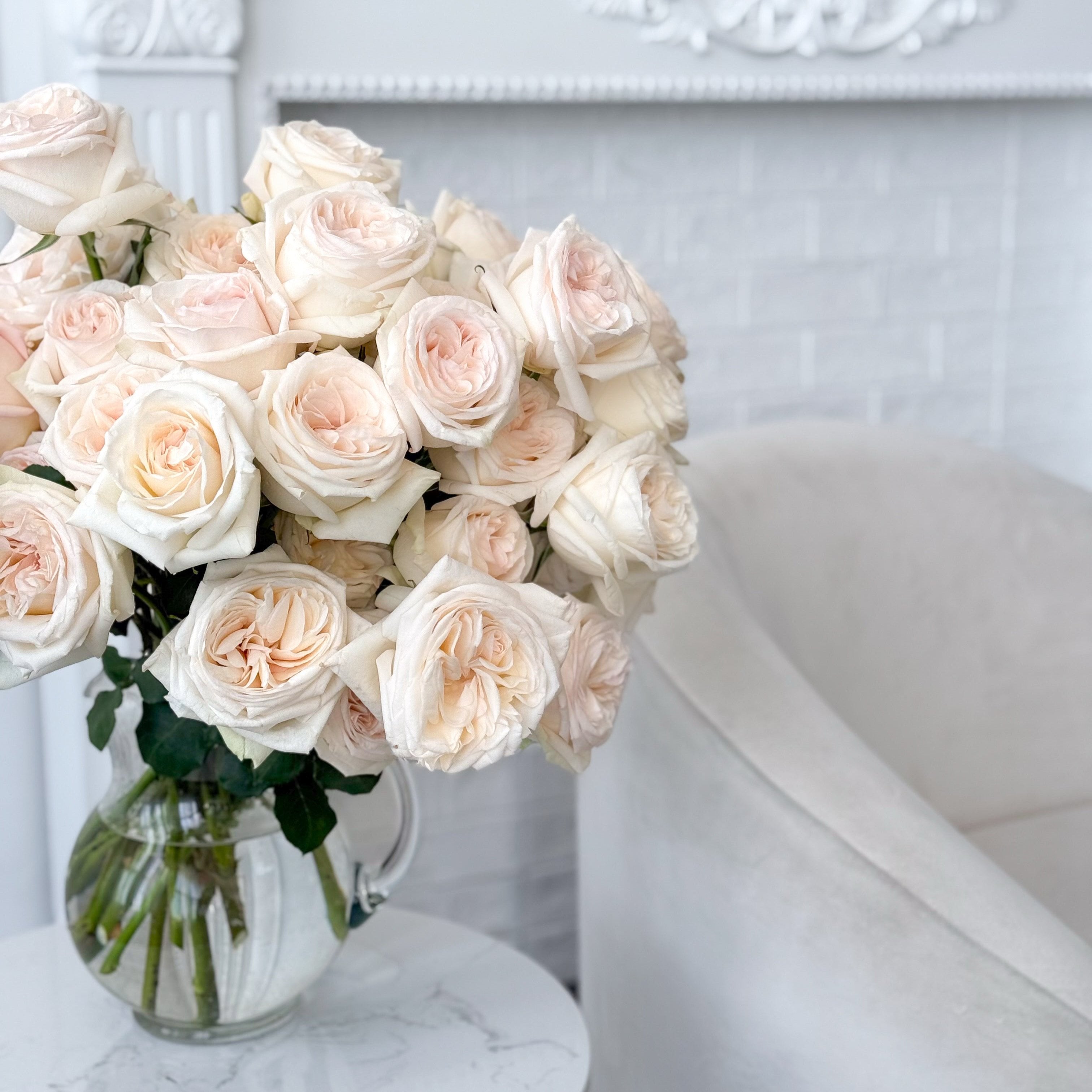 White Ohara Rose | Fragrant Garden Rose | Grace Rose Farm