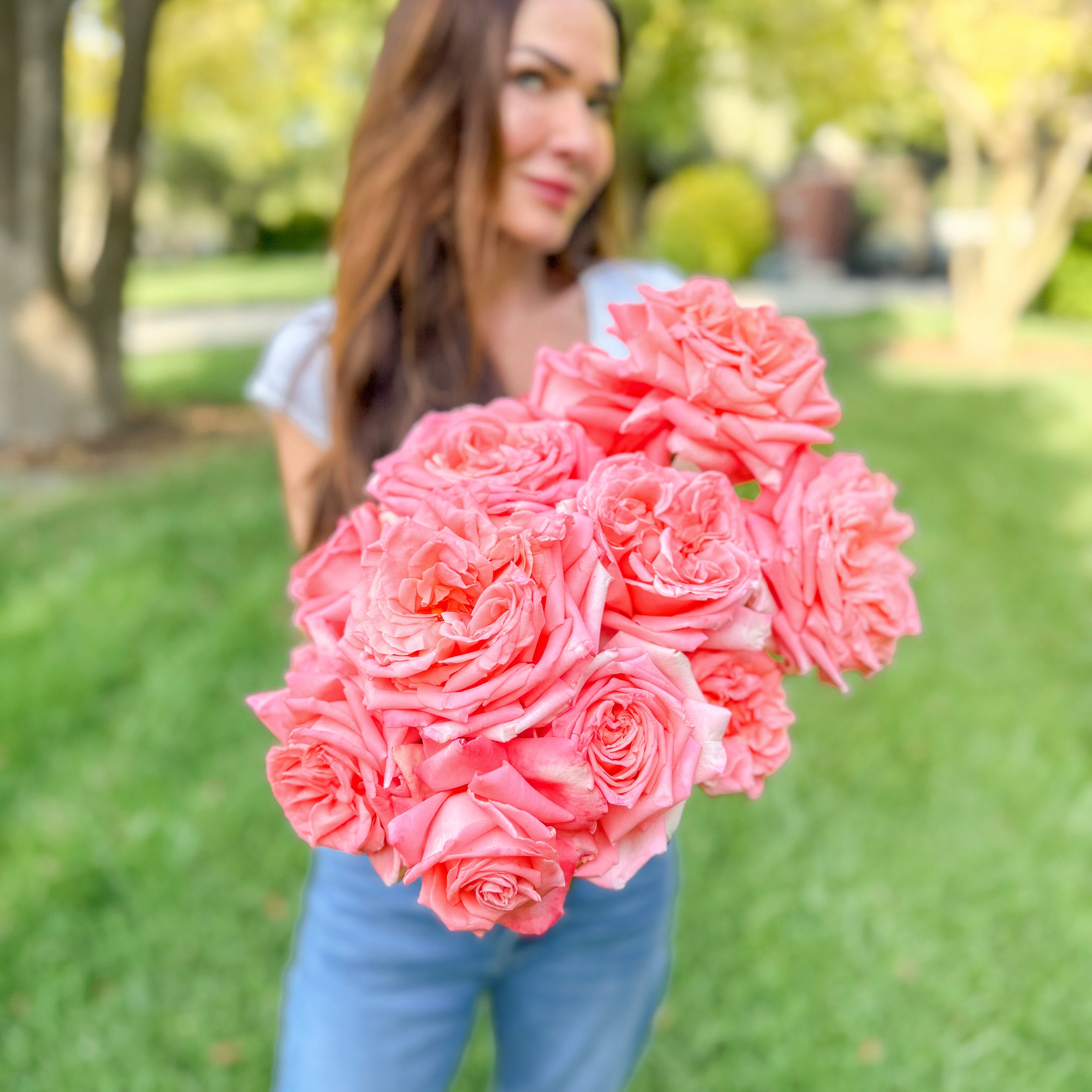 Heavenly Scent Rose | Fragrant Pink Hybrid Tea | Grace Rose Farm