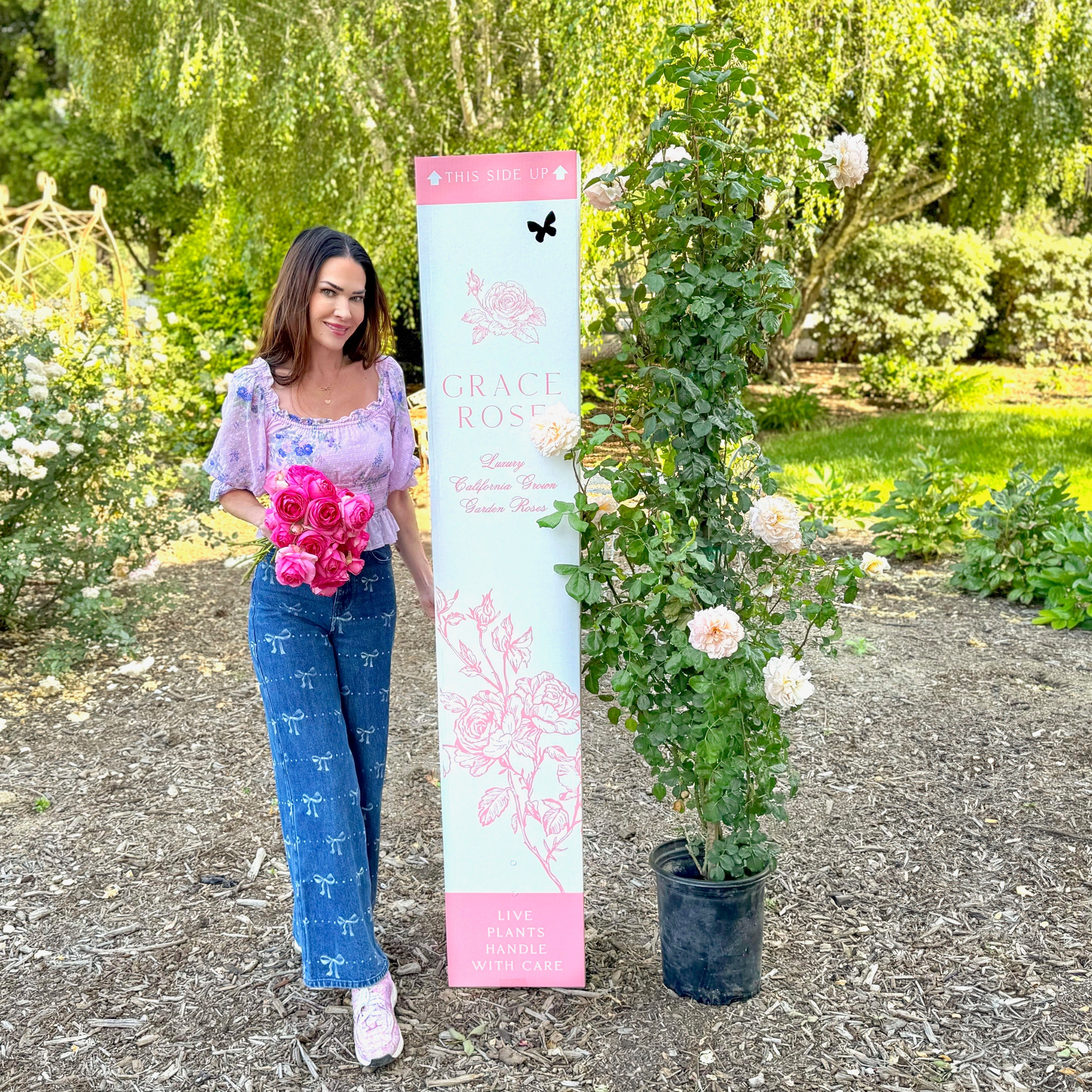 Sally Clematis | Pink Potted Clematis | Grace Rose Farm