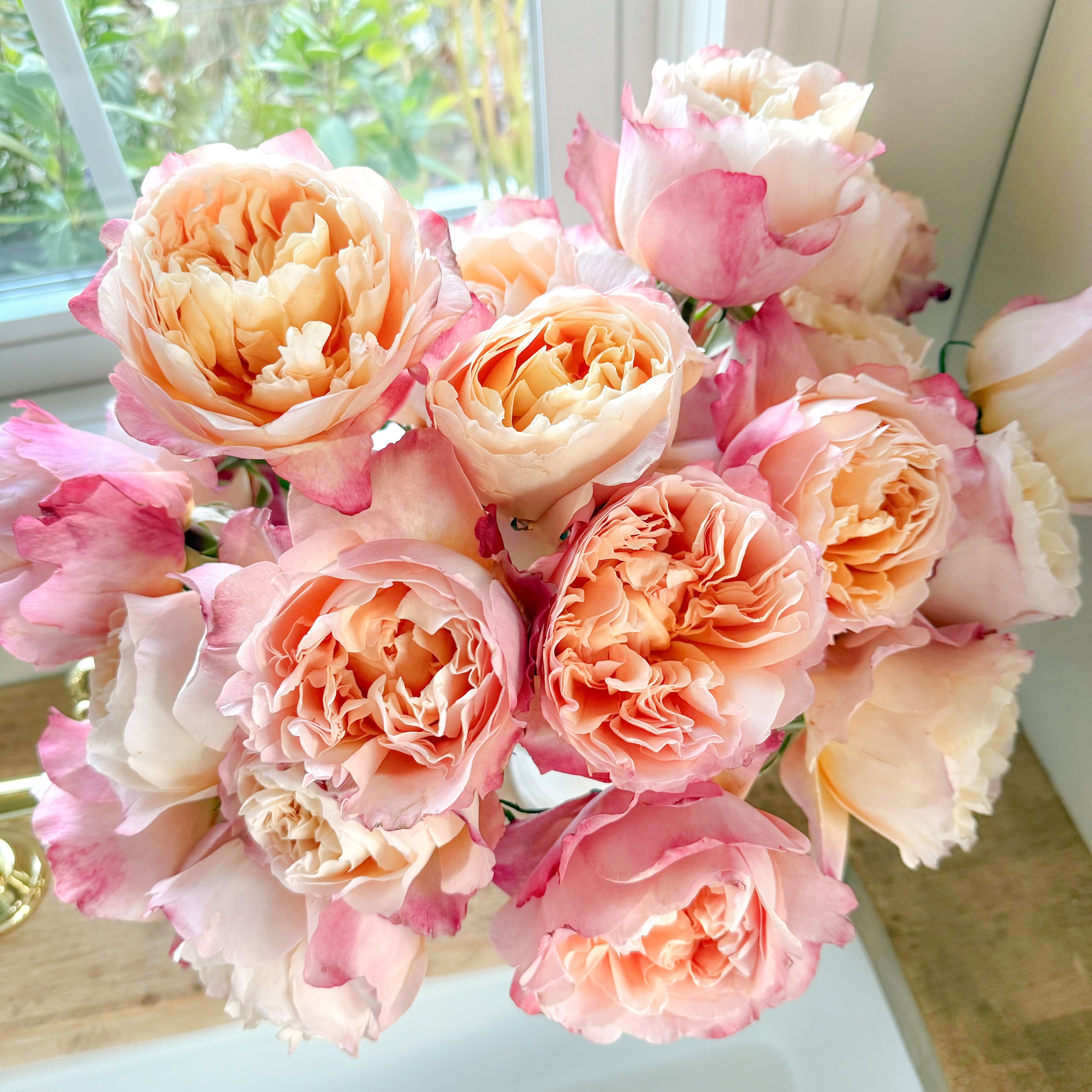Edith Bouquet | Apricot Garden Rose Bouquet | Grace Rose Farm