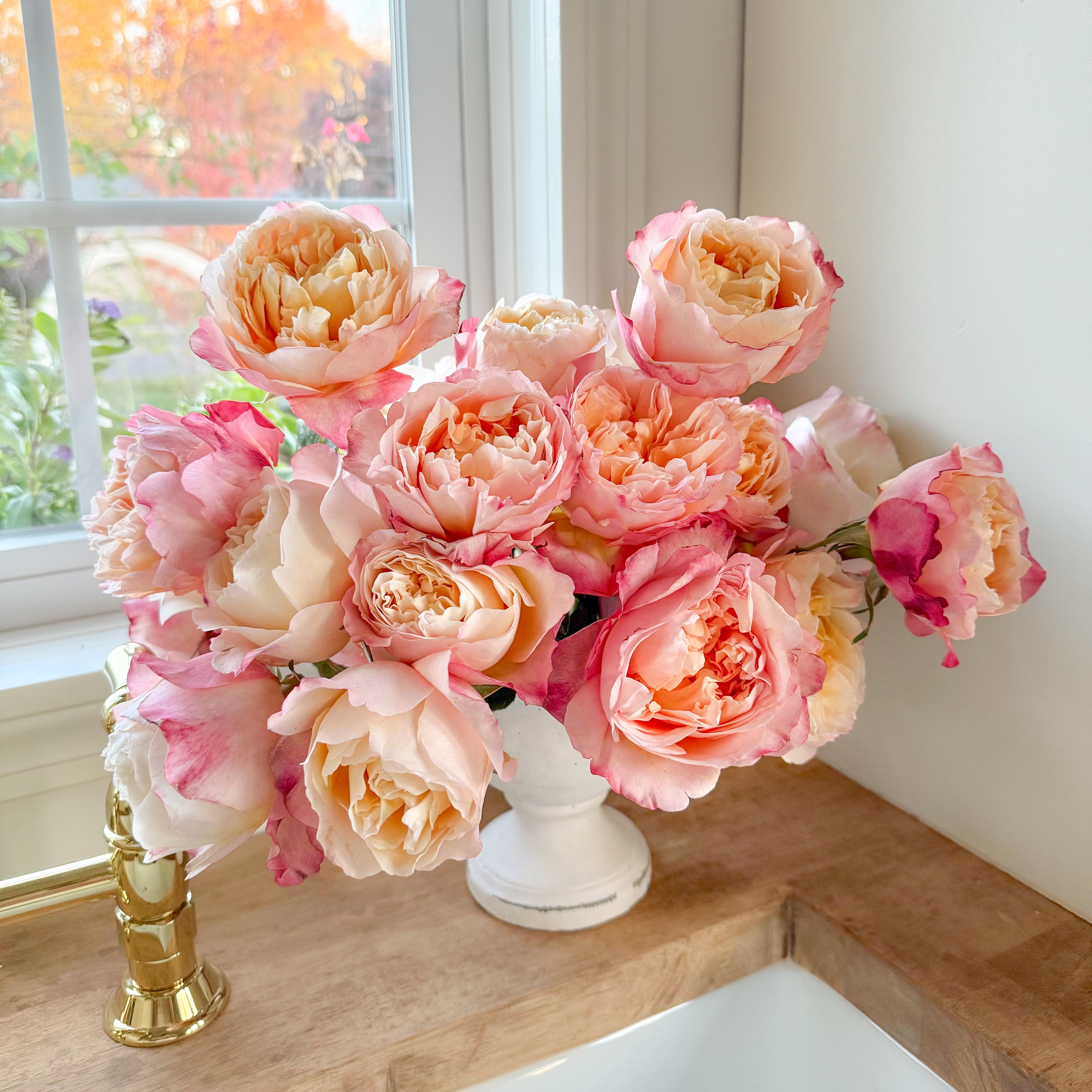 Edith Bouquet | Apricot Garden Rose Bouquet | Grace Rose Farm