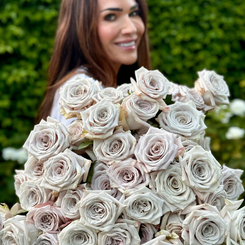 Menta™ Potted Rose Bush