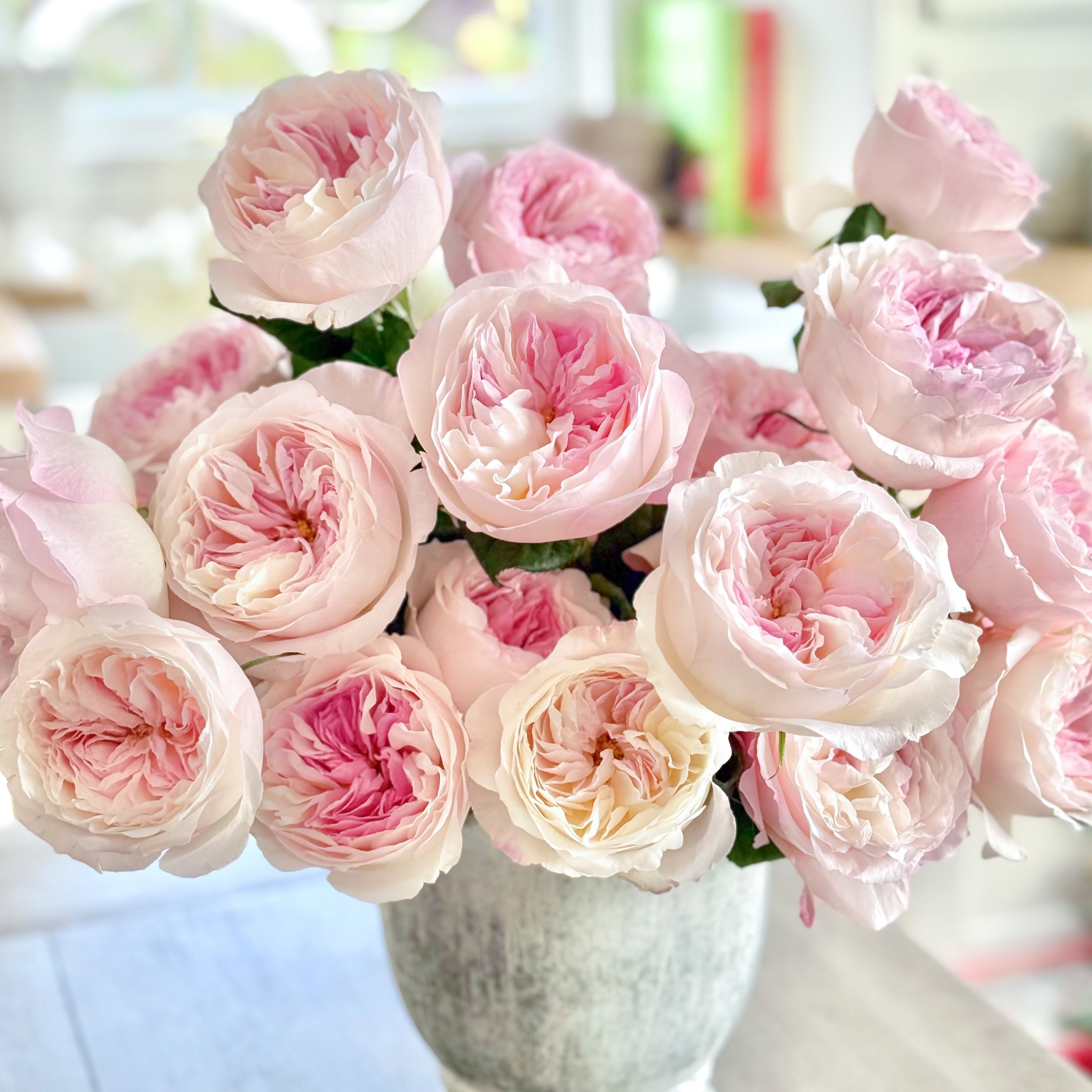 Bouquet of pink and white roses in a white vase on a light surface.