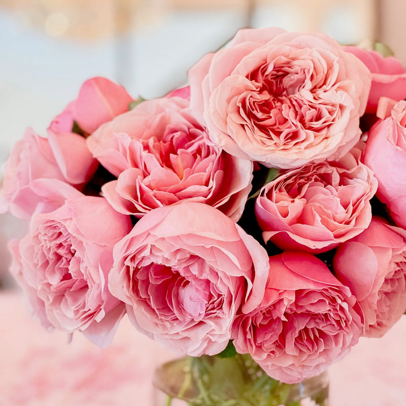 Queen Of Elegance™ Potted Tree Rose