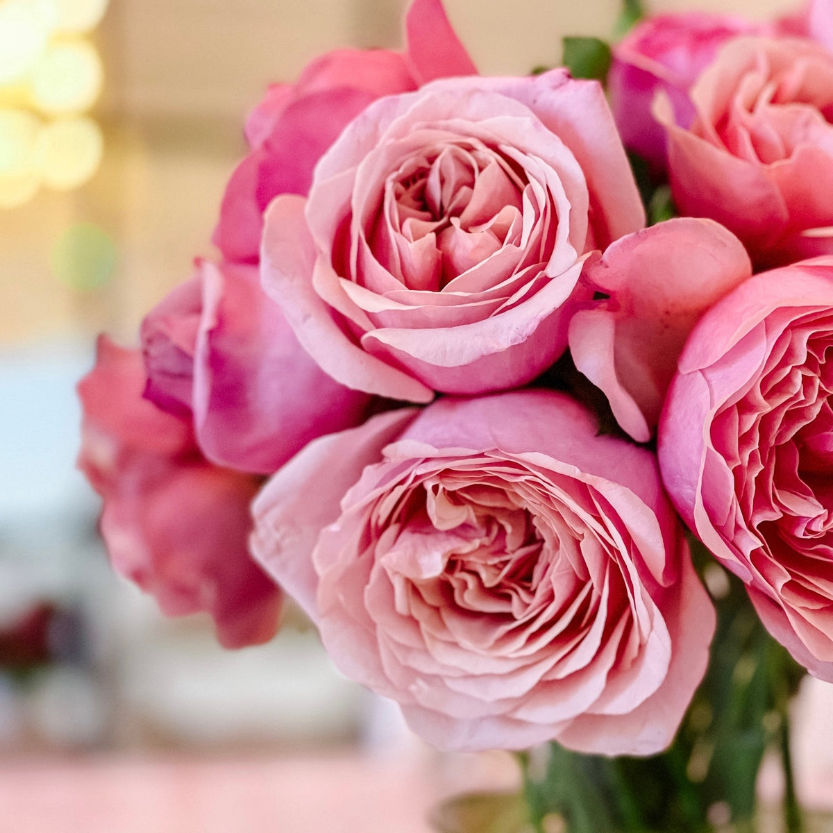 Queen of Elegance™ Bare Root Tree Rose