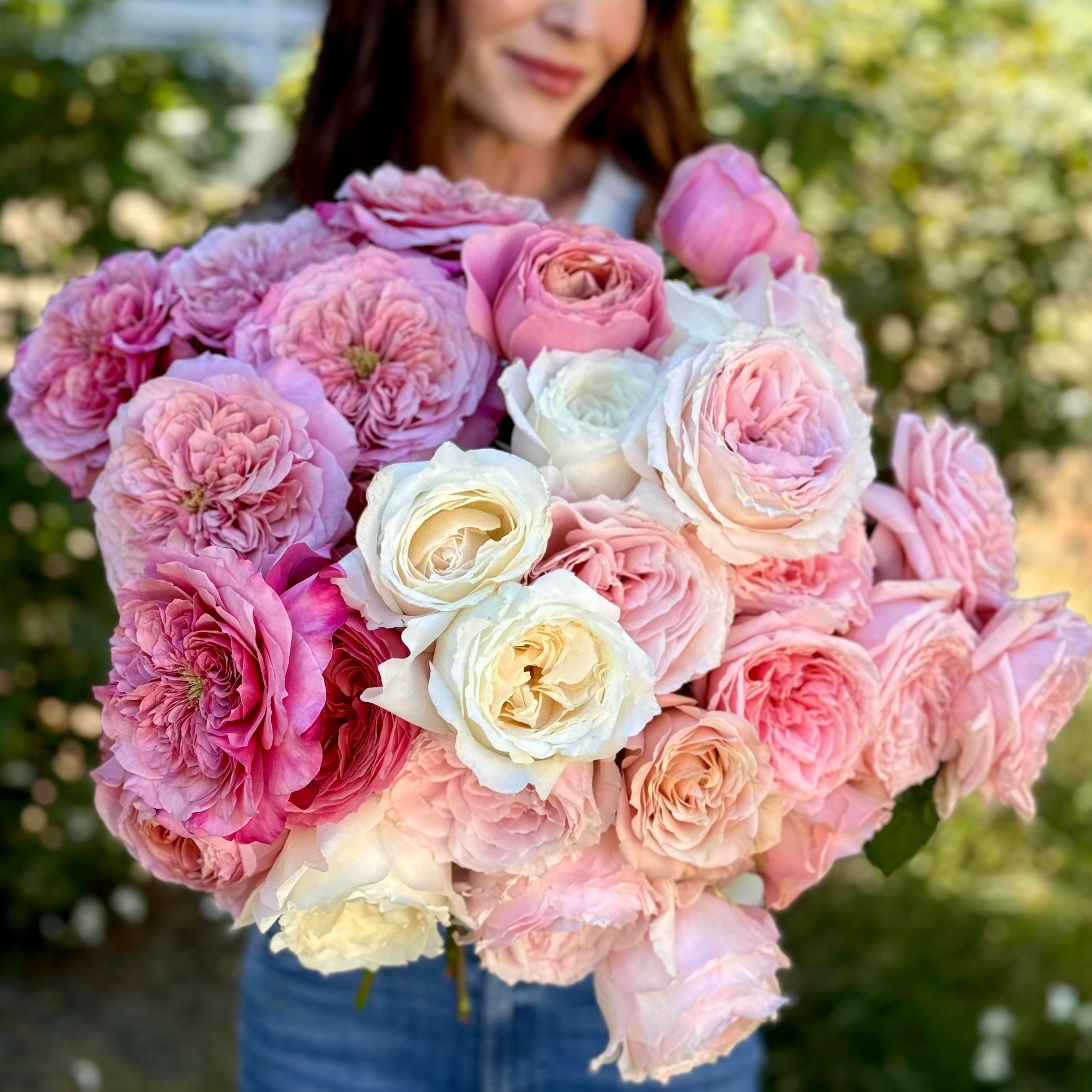 Most Loved Designers Rose Bundle | Designer Garden Roses | Grace