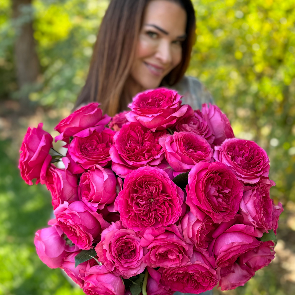 Fuchsia Roses | Vibrant Deep Pink-Purple Hues | Grace Rose Farm
