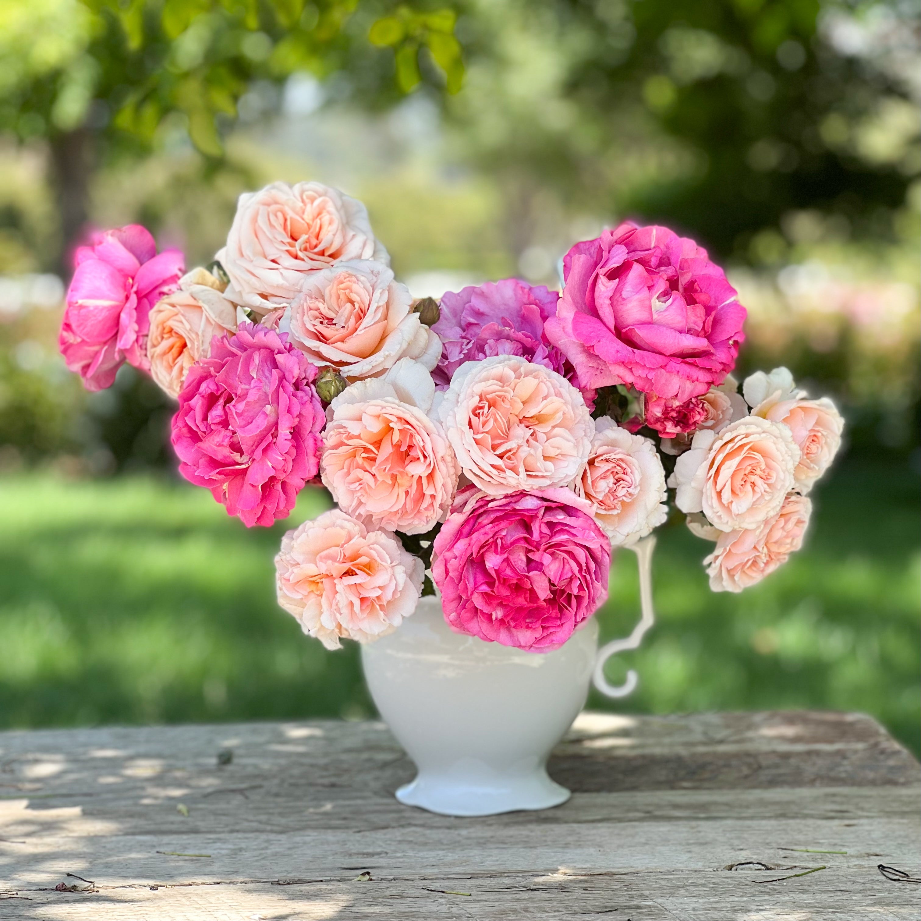ローズマリー M'sGRACY Marcy Bouquet | Mixed Garden Rose Bouquet | Grace Rose Farm