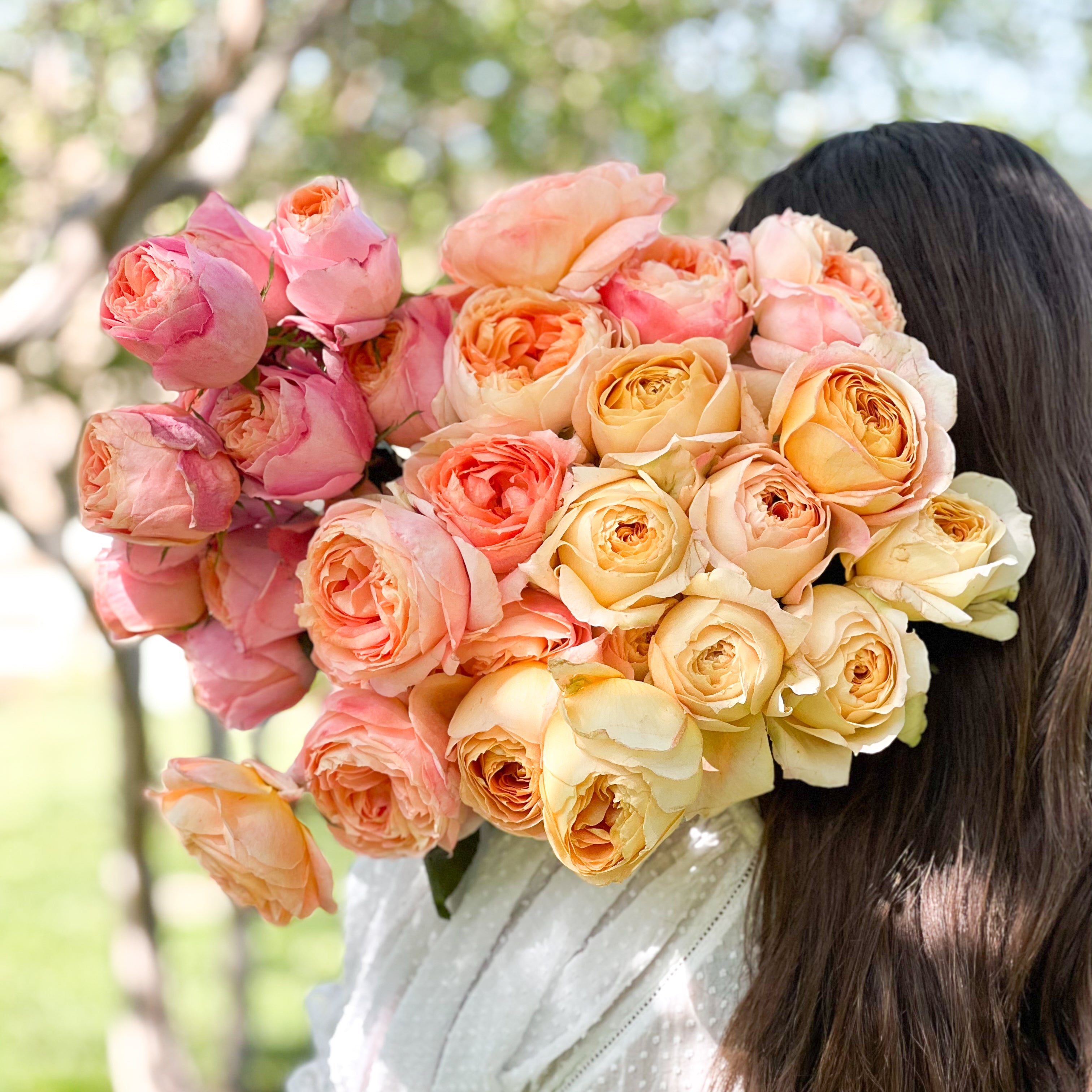 GeSkincareSheets Fresh Rose Plus 360枚セット Sherbet Garden Rose Bundle | Peach & Pink Rose Bundle | Grace Rose