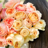 Sherbet Garden Rose Bundle