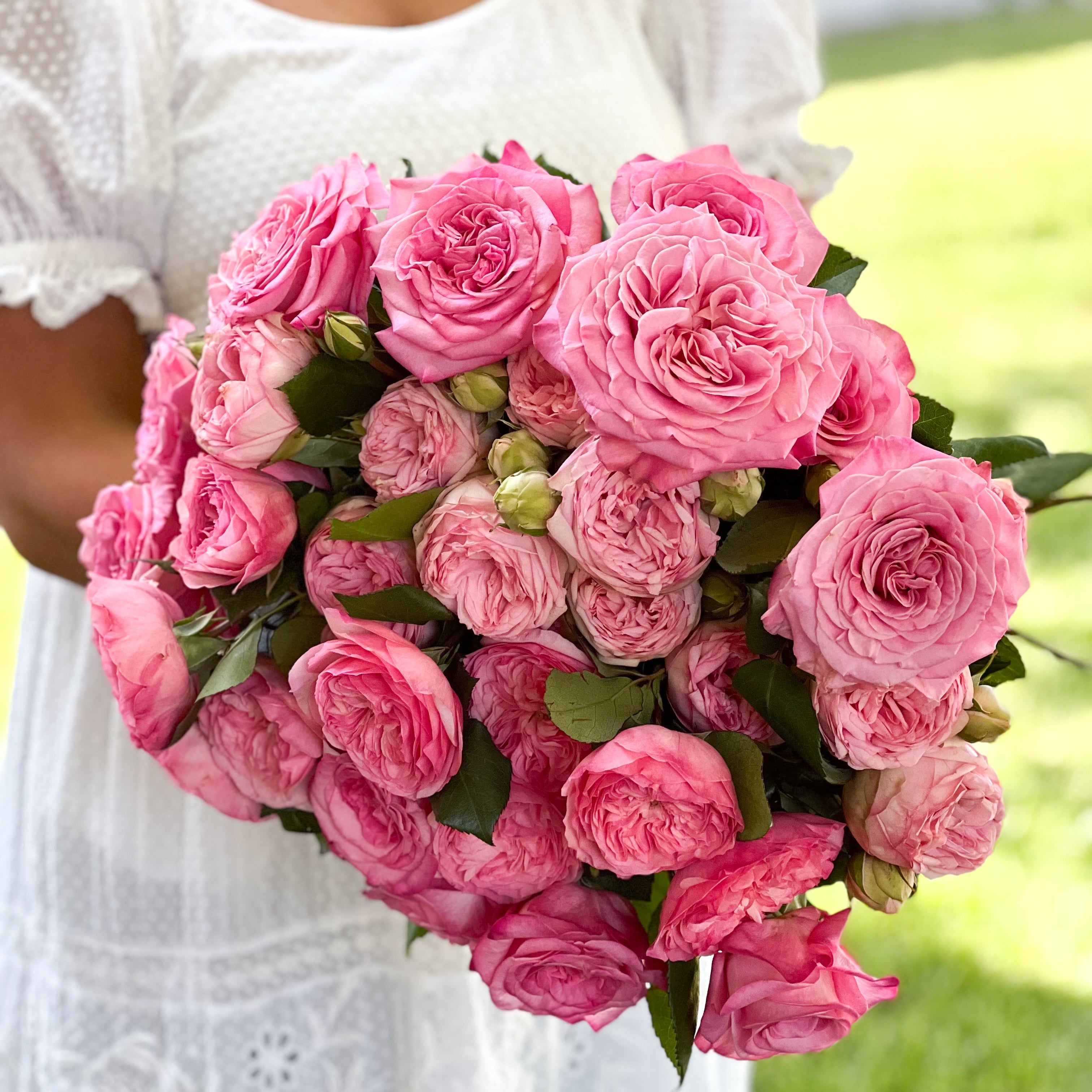 ＊*..Rose garden..＊°.. 優しいピンクローズ　お花の贈り物 Classic Pinks Garden Rose Bundle - Grace Rose Farm