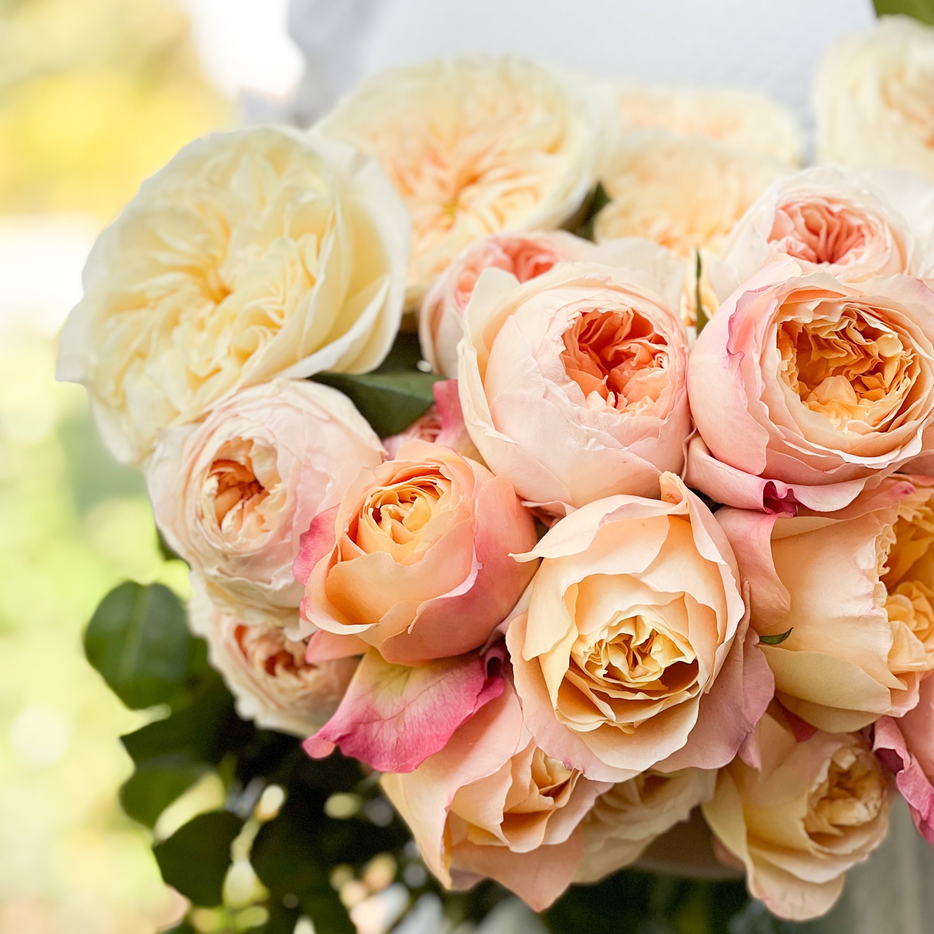 フラワー・リース ROSE Peaches And Cream Garden Rose Bundle | David Austin Cut Roses