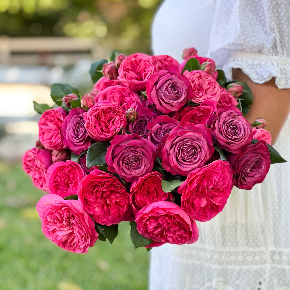 Lavender Roses | Natures Most Elegant Shades | Grace Rose Farm
