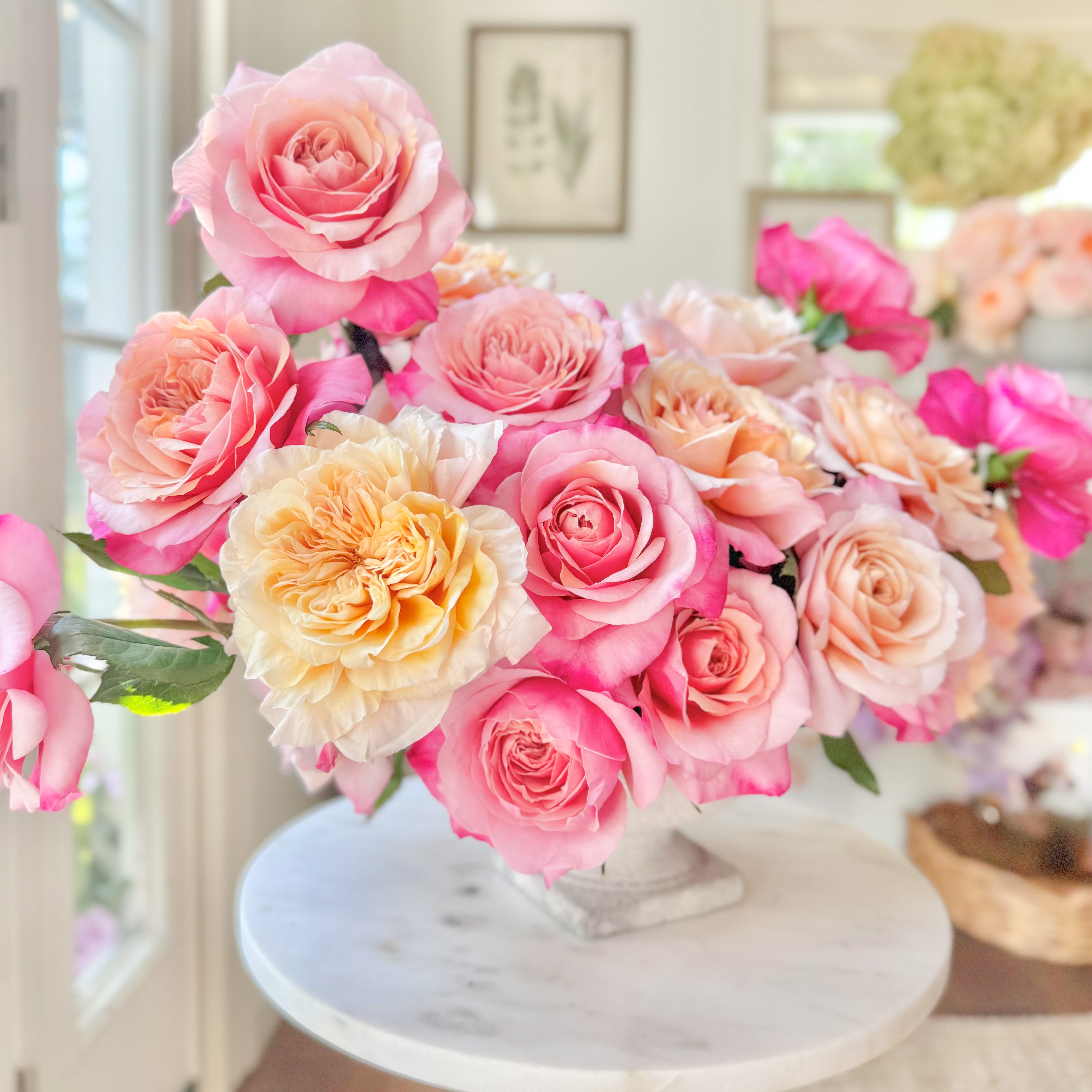 Peach Roses | Radiate Warmth & Sophistication | Grace Rose Farm
