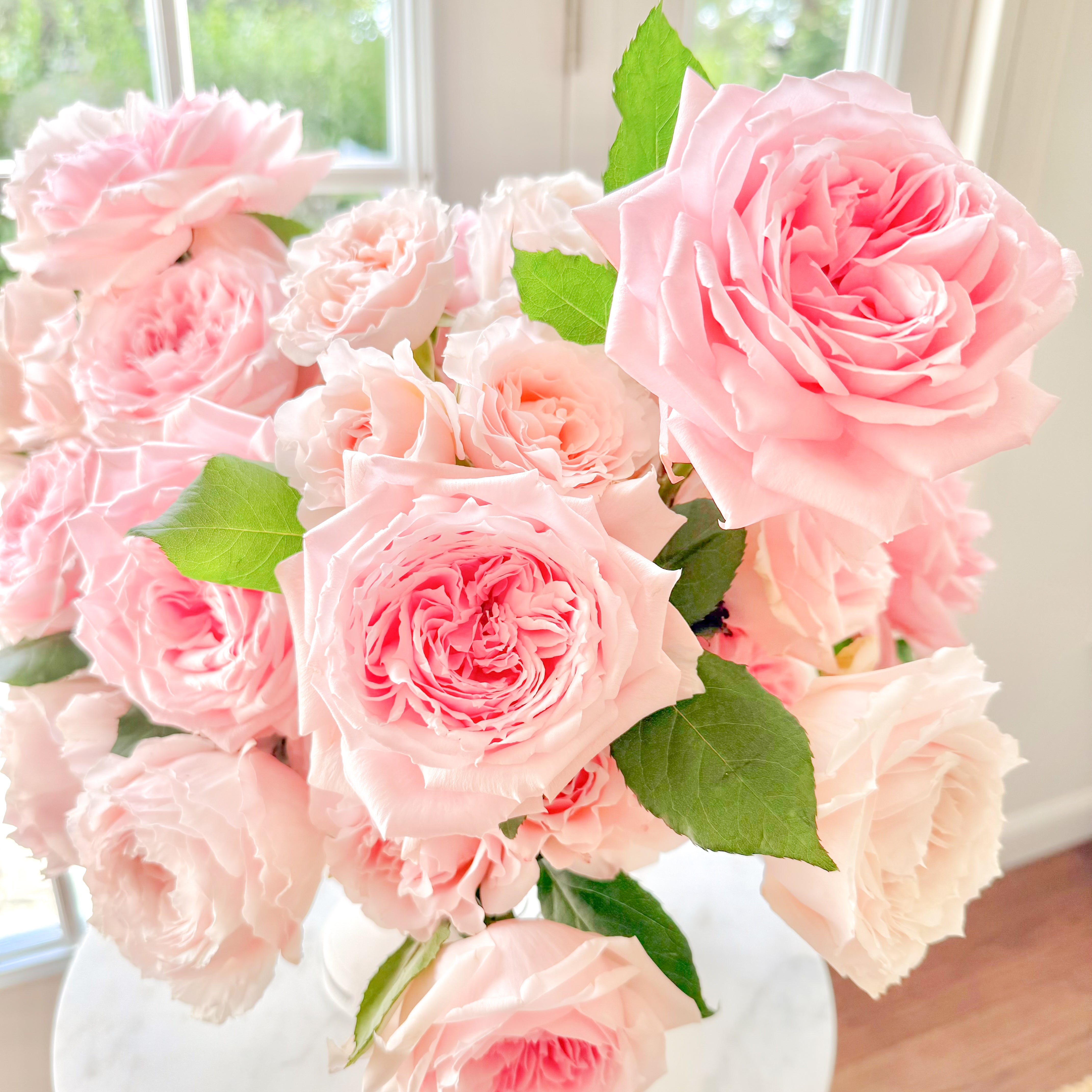 Peach Roses | Radiate Warmth & Sophistication | Grace Rose Farm
