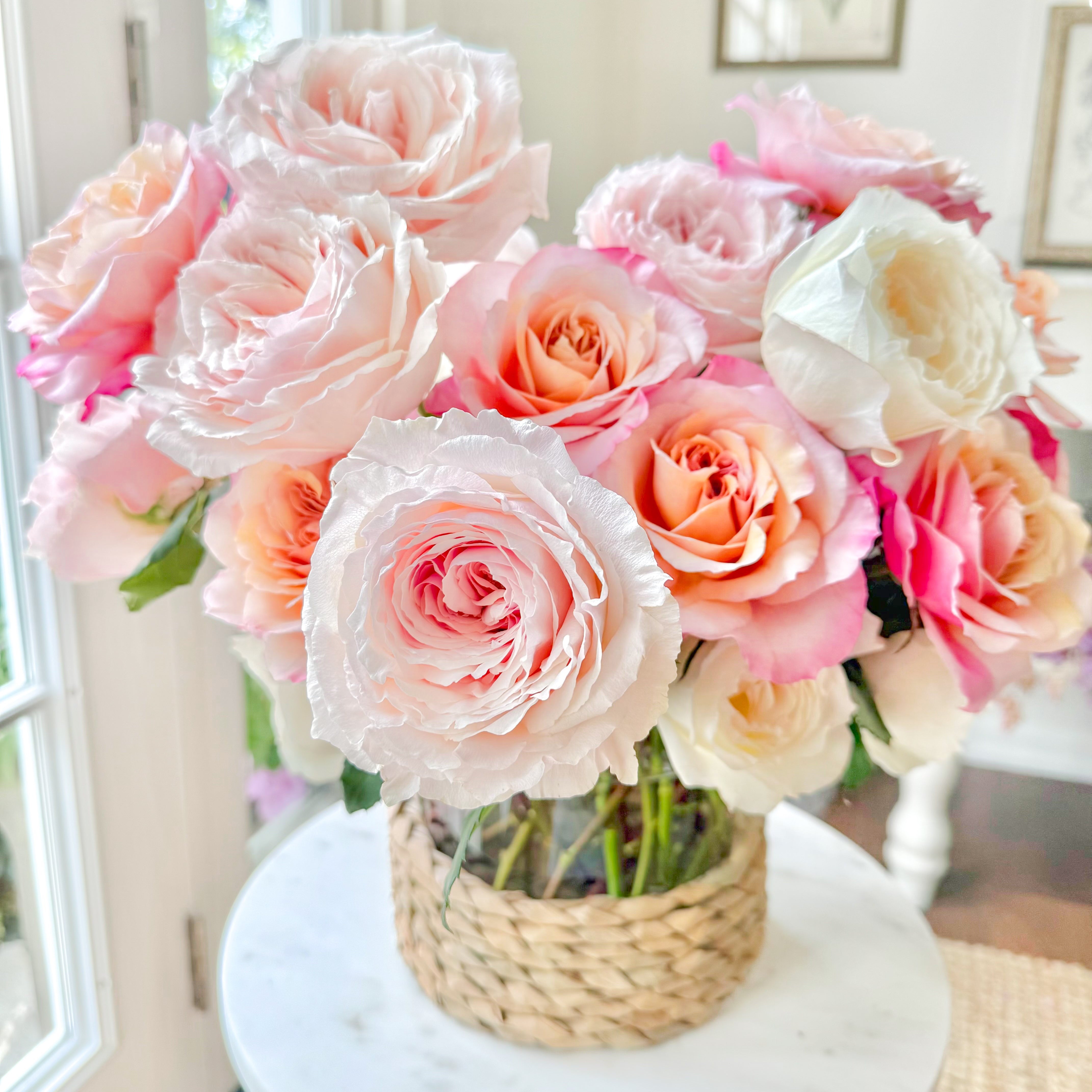 Peach Roses | Radiate Warmth & Sophistication | Grace Rose Farm