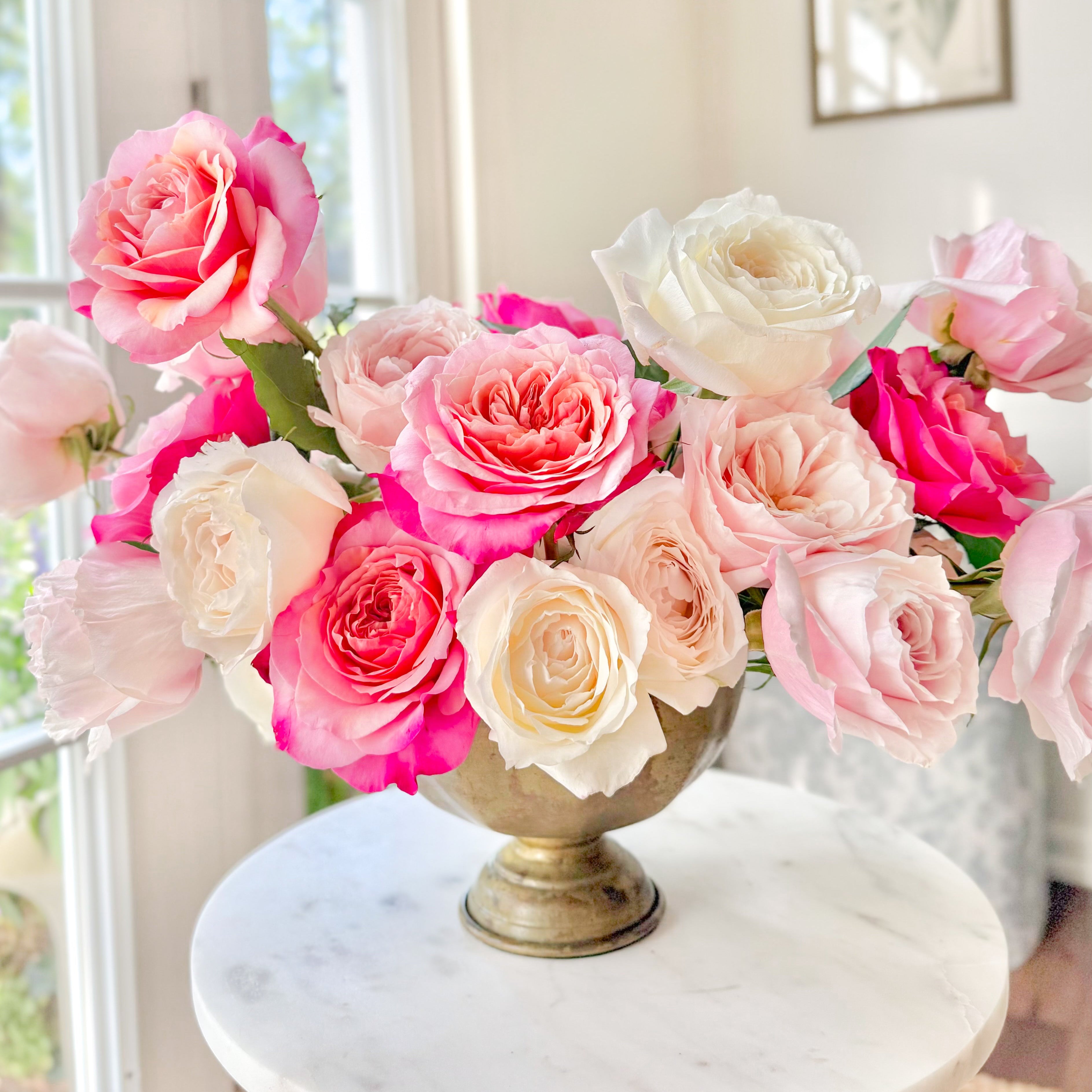 Peach Roses | Radiate Warmth & Sophistication | Grace Rose Farm