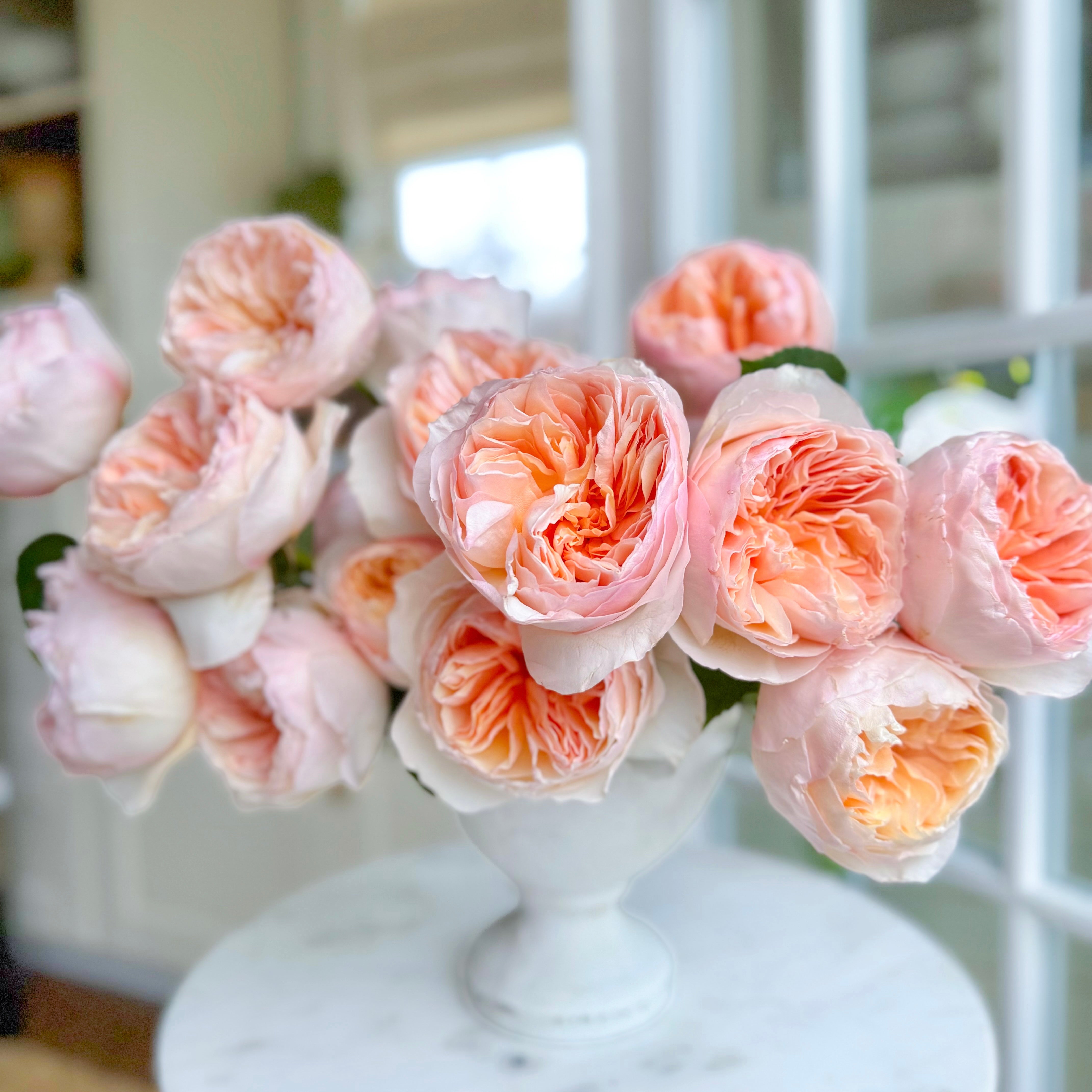 David Austin® Juliet™ Special Bouquet