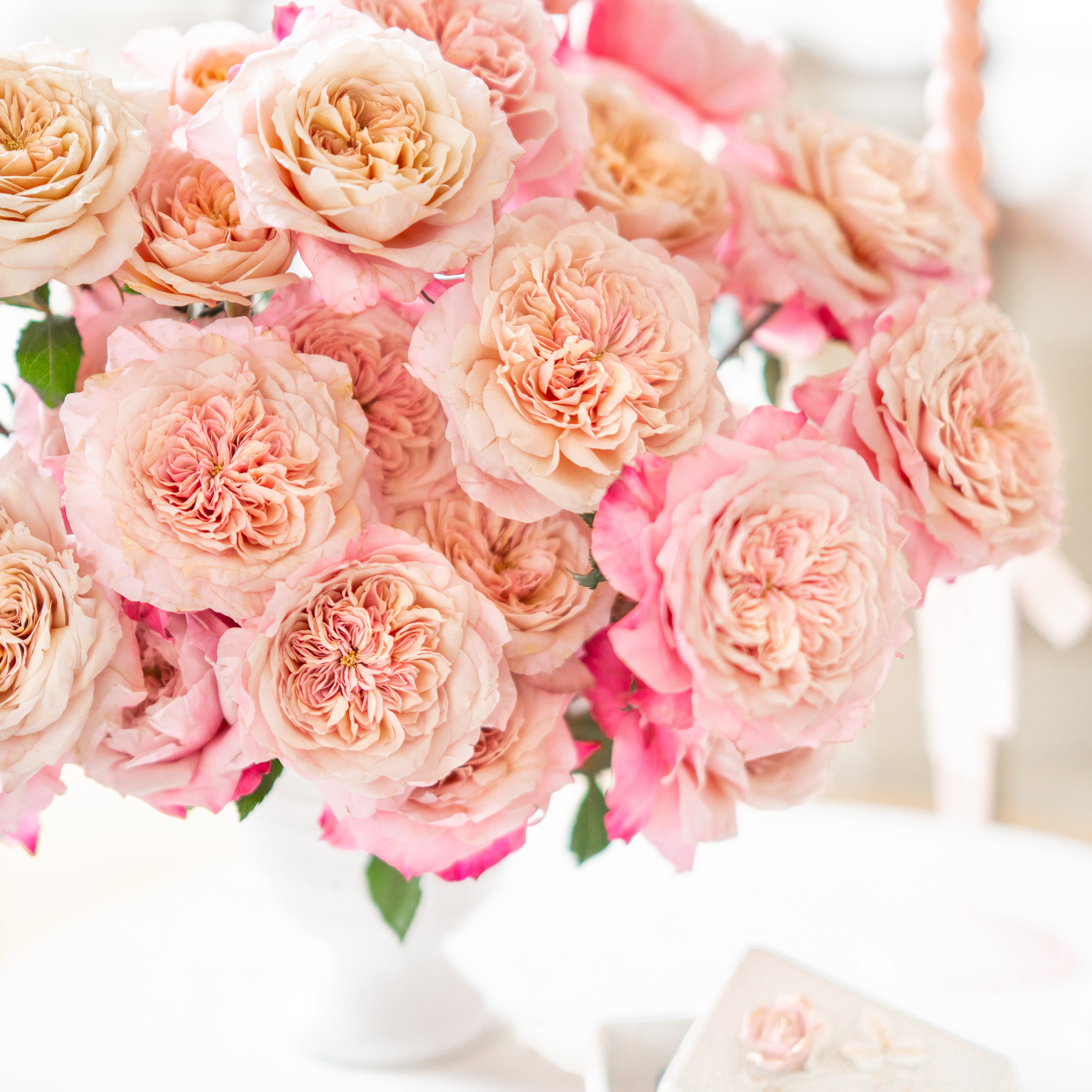 Miyabi Cha Bouquet | Brown Garden Rose Bouquet | Grace Rose Farm