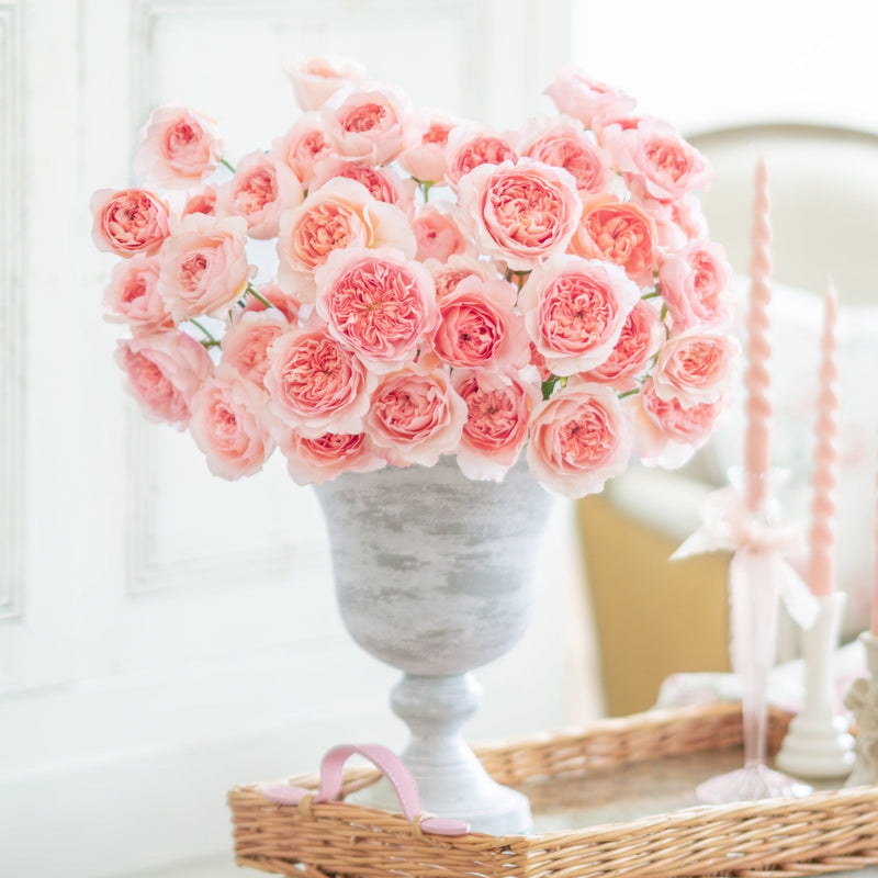 David Austin® Phoebe™ Bouquet