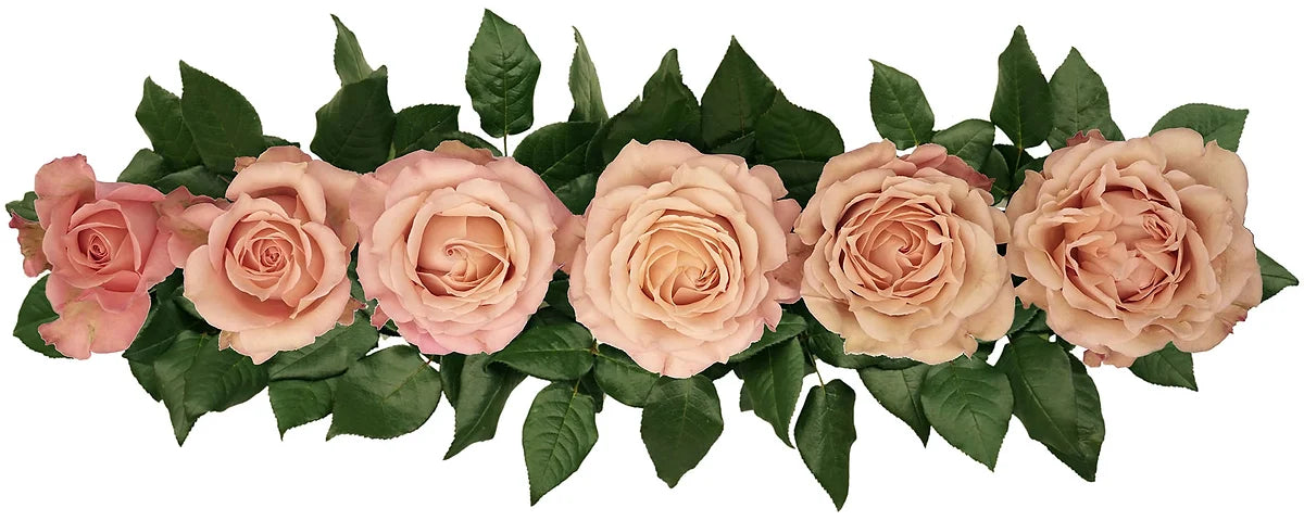 Sahara Sensation® Special Bouquet