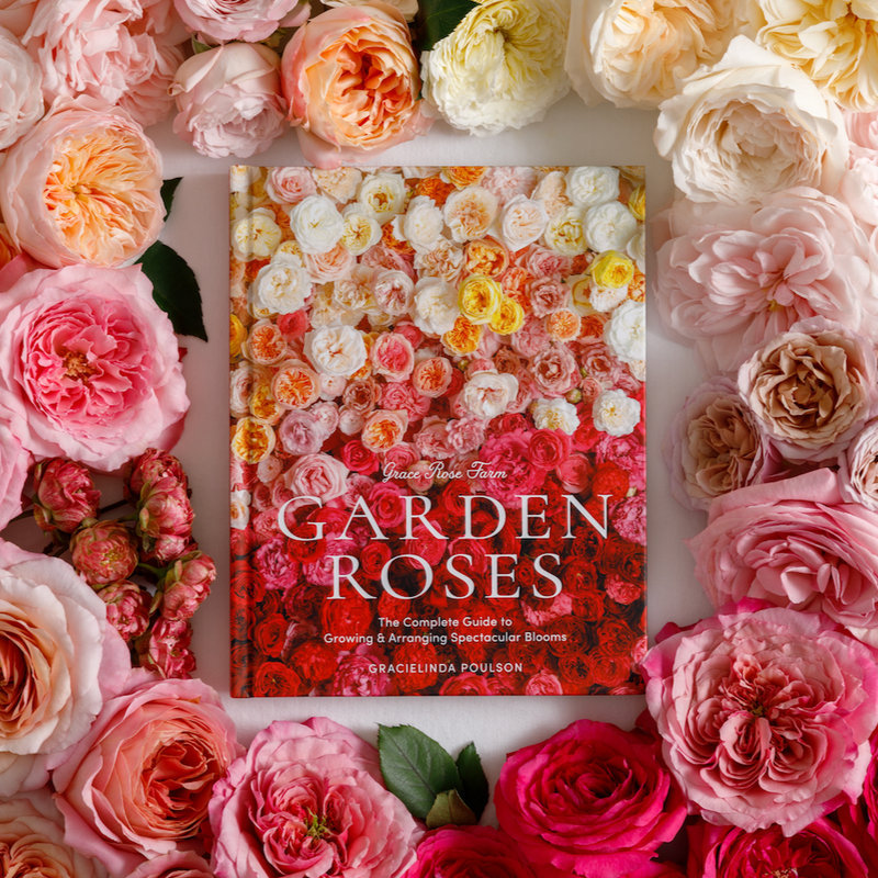 GARDEN ROSES: The Complete Guide to Growing & Arranging Spectacular Bl ...