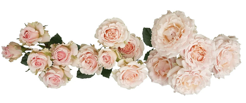 Wedding Rosever® Bouquet