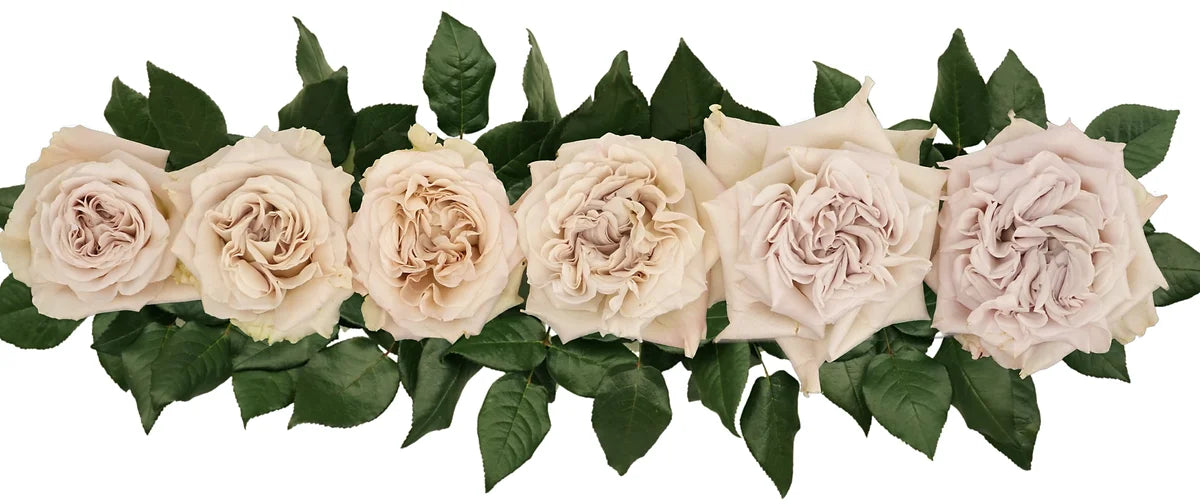 Westminster Abbey® Bouquet