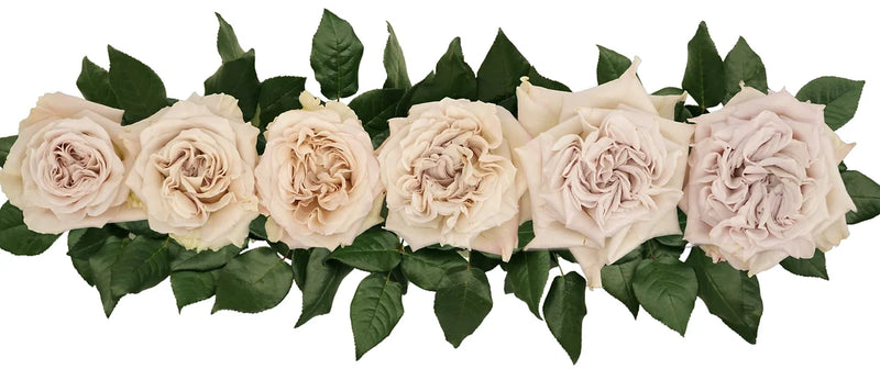 Westminster Abbey® Special Bouquet