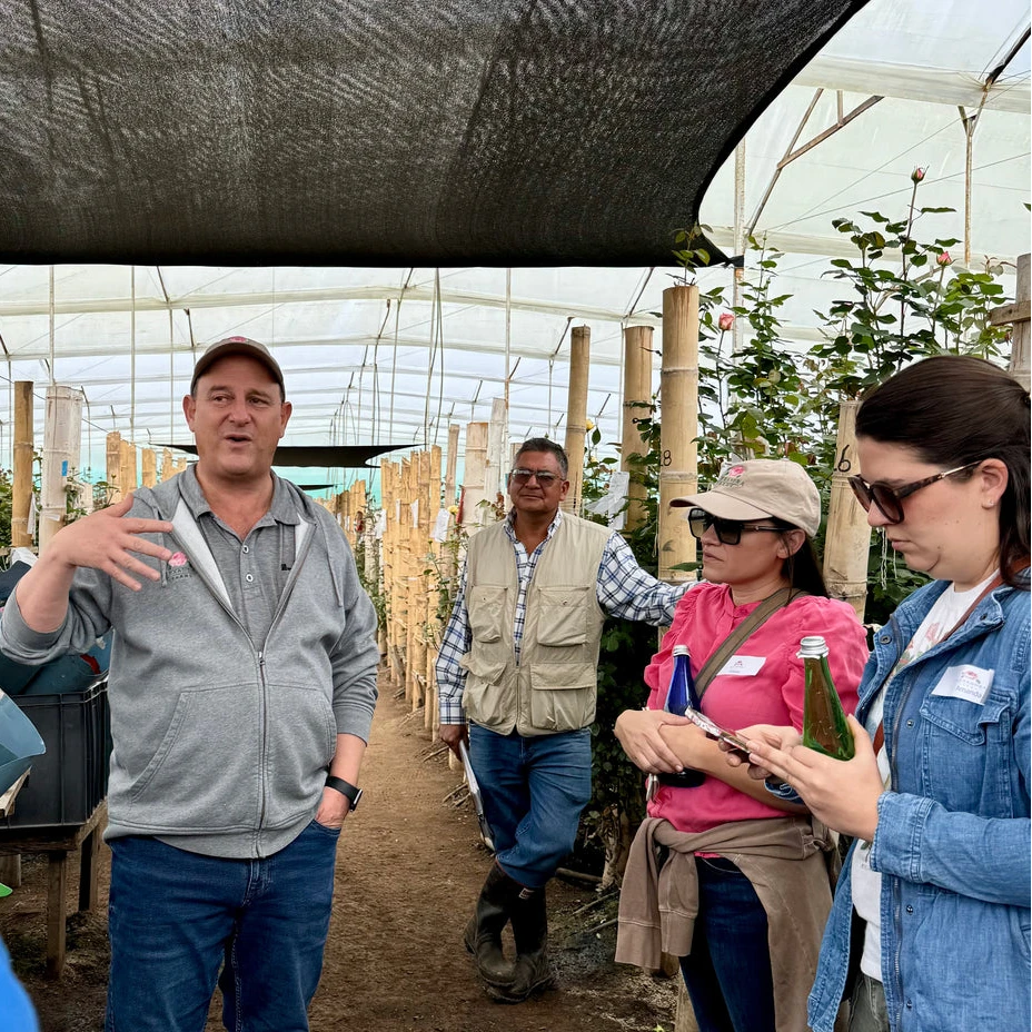 The Rose Immersion - A Colombian Floral Retreat at the World's Finest Rose Farm (Deposit)