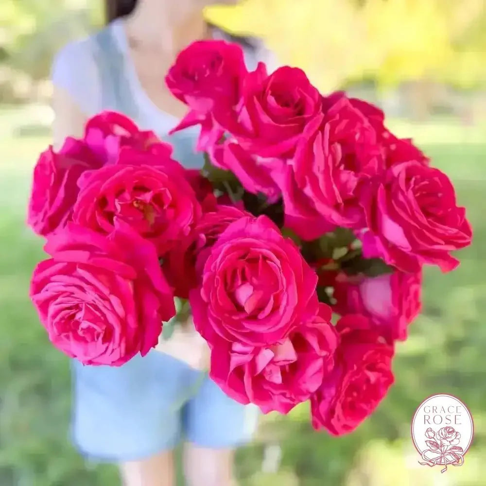 April's Birthday Bundle