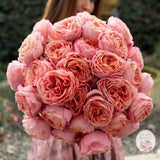 ’Always in Bloom’ Garden Rose Subscription CUTS