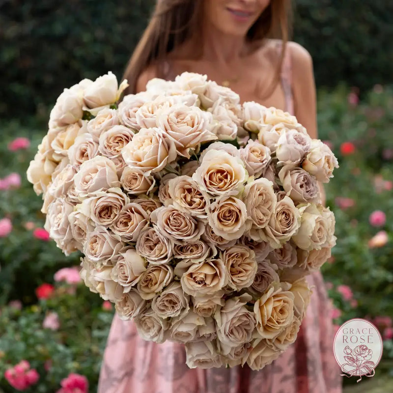 ’Always in Bloom’ Garden Rose Subscription CUTS