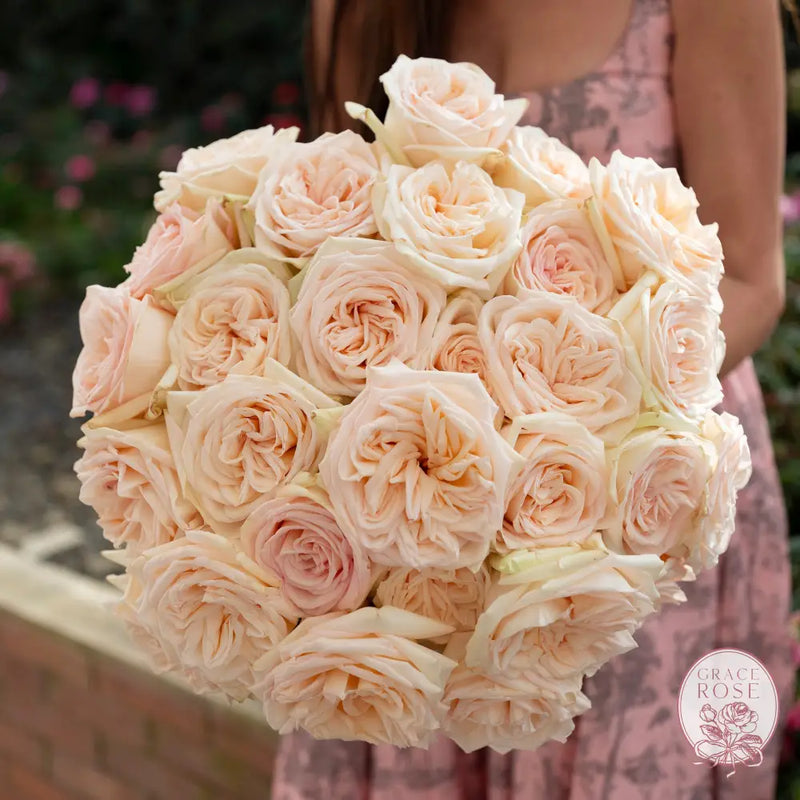 ’Always in Bloom’ Garden Rose Subscription CUTS