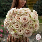 ’Always in Bloom’ Garden Rose Subscription CUTS