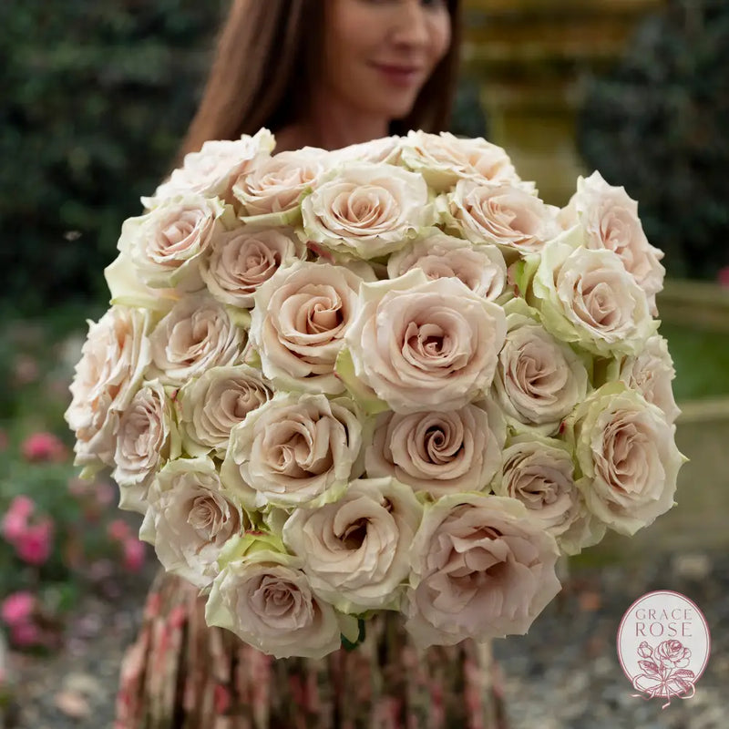 ’Always in Bloom’ Garden Rose Subscription CUTS