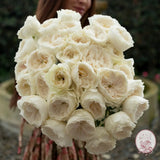 ’Always in Bloom’ Garden Rose Subscription CUTS