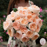 ’Always in Bloom’ Garden Rose Subscription CUTS
