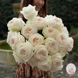 ’Always in Bloom’ Garden Rose Subscription CUTS