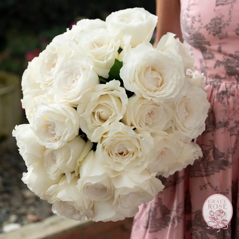 ’Always in Bloom’ Garden Rose Subscription CUTS