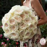 ’Always in Bloom’ Garden Rose Subscription CUTS