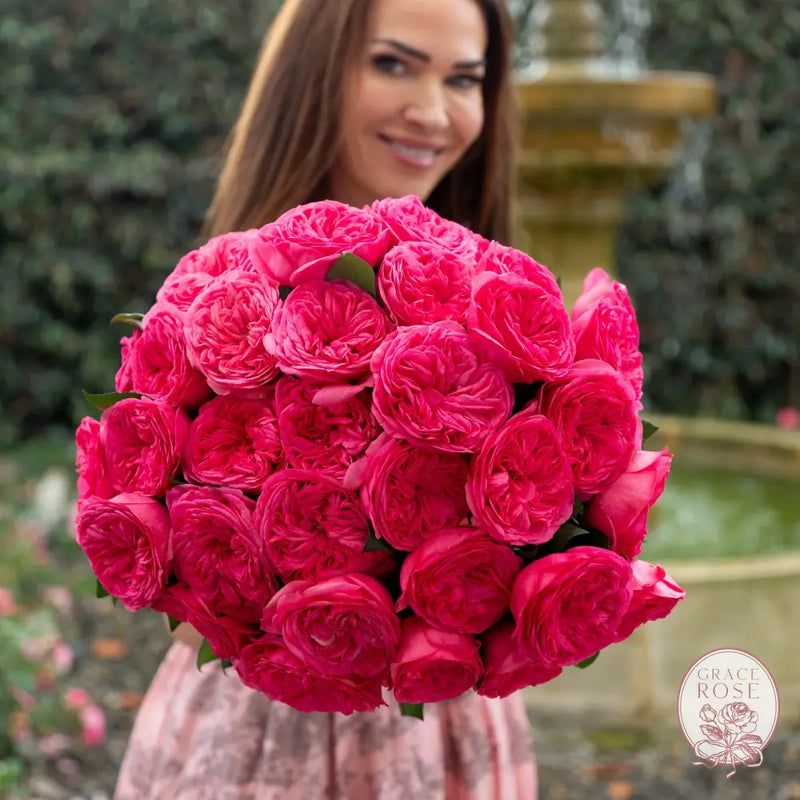 ’Always in Bloom’ Garden Rose Subscription CUTS